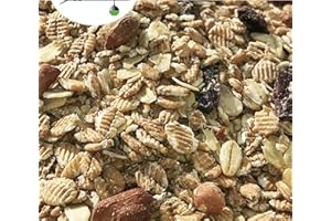 VOGELFOOD WIR SIND GUT ZU VÖGELN Fettfutter 25 kg eine Leckerei für Wildvögel