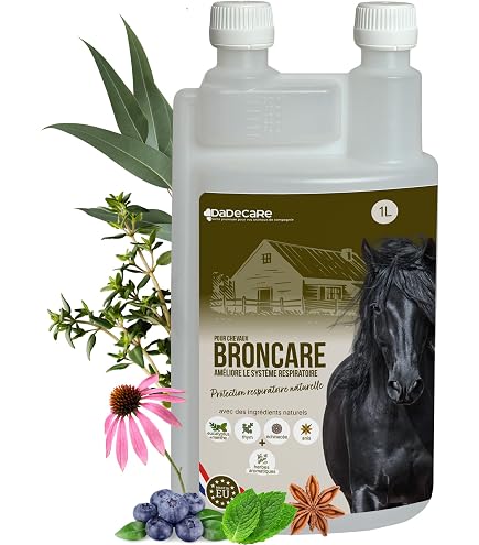 Les merveilles de l'eucalyptus pour les voies respiratoires - Tendances Les merveilles de l'eucalyptus pour les voies respiratoires - Tendances