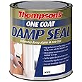 One Coat Damp Seal 250 ml - RSLTOCDS250