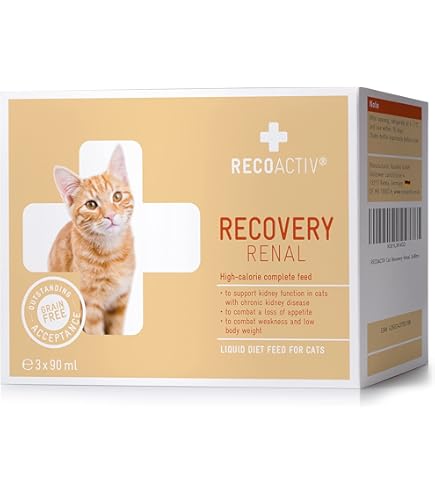 Royal Canin Veterinary Diet Recovery Liquid, 3 x 200 ml : Amazon.se: Pet  Supplies