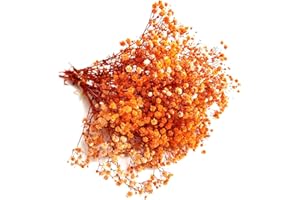 QZKJQDD Trockenblumen, Schleierkraut Getrocknet, Trockenblumen Zum Basteln, Getrocknete Blumen, Trockenblumen Deko, Geeignet für Geschenkbox, Scrapbooks, Duftkerzen Handgefertigt (Orange Farbe)