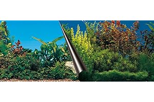 EUROPET BERNINA Ebi Beauté/Mer Poster Fond de Aquarium pour Aquariophilie 120 x 50 cm