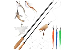 LIAILA 14 pièces Jouet Chat, plumeau Chat Ensemble Contient 2 Longues Canne à pêche Chat(42-110 cm), 4 Lignes de pêche, 2 Oiseaux, 3 Plumes et 3 vers. Jouet Chat interactif avec Cloche