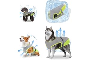 oUUoNNo Kühlweste für Hunde, Kühlweste für Hunde, Kühljacke, Haustier-Kühlweste, atmungsaktives Netzgewebe, verstellbare Träger, Kühlweste für kleine, mittelgroße und große Hunde (Größe M, Grau)