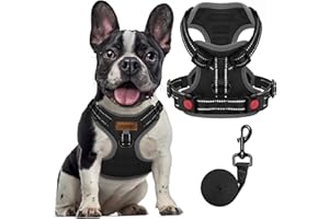 FAYOGOO Dog Harness Medium, No Pull Vest Harness with 2 Clips Training Anti Pull, Adjustable Pet Harness Soft Padded Reflective No Choke with Easy Control Handle for Training or Walking, Black,S