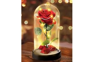 TOULOUBE Cadeaux de Fête des Mères pour Femmes - Rose Eternelle sous Cloche Cadeau Femme - 1 Rose de Soie Rouge, Rose Dôme en Verre Fleur Artificielle avec LED Lumières, Cadeau pour Petite Amie,Femme,Maman