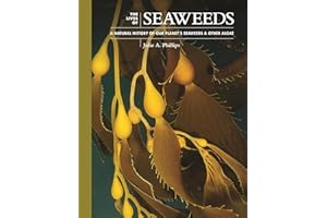 The Lives of Seaweeds: A Natural History of Our Planet's Seaweeds and Other Algae: 4 (The Lives of the Natural World, 4)