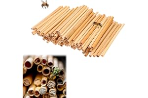 Noaxylic Ca 300 stycken nesthylsor för vilda bi, 20 cm långa nesthylsor | Bistöd för bin, vilda bihotell, bin, fjärilar och andra insekter