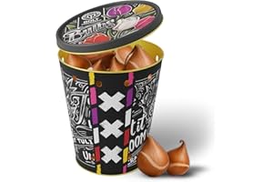 BOLT AMSTERDAM SINCE 1936 15 bulbi di tulipani "UNICORN TREASURE" in un secchio – Tulipani misti – Nuovo raccolto – Bulbi da fiore olandesi di qualità – BOLT Amsterdam (1 pack)