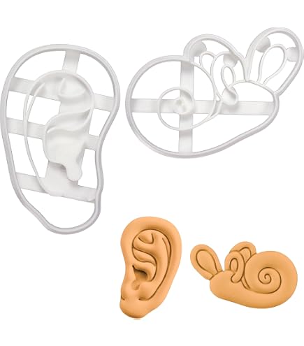 Popcorn Ausstechform Von Bakerlogy – 1-teilig, Für Plätzchen, Fondant, Knete (7,5x8,5 Cm, Spülmaschinengeeignet)
