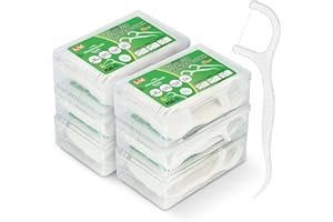 LAOYE 300 sztuk jednorazowych patyczków z nicią dentystyczną z wykałaczką, do pielęgnacji zębów, nici dentystyczne, z przenośnym etui podróżnym – nieusuwalne patyczki do czyszczenia zębów