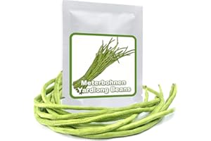 MAGIC OF NATURE Fasola szparagów/fasola na metry – 20 nasion – fasola olbrzymia o długości do 1 m – ziarna węża