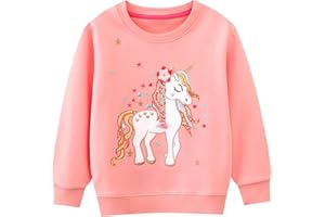 FILOWA Sweatshirt Enfant Fille Cheval Licorne Arc-en-Ciel Pullover Sweatshirt Col Rond Coton Gris Rose Mignon Pas Cher Manches Longues Casual Tops Sport Pull Sweat-Shirt pour Bebe Filles 2-7 Ans