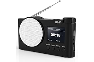 RYCHI Portable DAB/DAB+ Digital Radio | FM Radio with Bluetooth 5.1 | Battery & Mains Powered | 60 Presets | 2.4" Colour Display | AUX, USB, Earphone Jack | Alarm with Sleep Timer Function