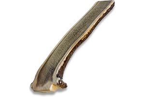 ChronoBalance-L Corno di Cervo per Cani, Confezione da 1, Dimezzato, 100% Naturale, Osso di Cervo, Cura Dentale, Giocattolo per Cani, Senza Sostanze Chimiche, Lunga Durata