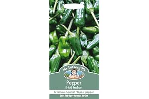 MR FOTHERGILLS Mr Fothergill?s Seeds Ltd 14304 Mr Fothergill's Pepper (Hot) Padron