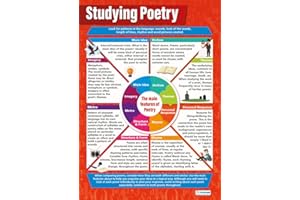 Studying Poetry | English Posters | Gloss Paper measuring 850mm x 594mm (A1) | Language Classroom Posters | Education Charts by Daydream Education