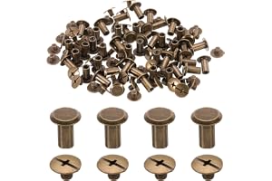 QUARKZMAN set om 50 M5 x 10 mm Chicago skruv metall Phillips huvud bindningsskruvar stolpar spik nitar skruvar nitar för gör