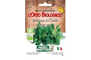 WOOTONG Sdd O.BIO_VALERIANA D'OLANDA Seme Grosso Semi, 0.02x15.5x10.8 cm