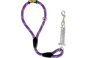 AVANZONA Correa para Perros, Amortiguador, Antitirones, para Perros medianos y Grandes, Fabricada en España. 60cm. Violeta con Rosa