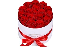 MAMAMIKO 17 Preserved Roses in Suede Box - Eternal Red Rose for Her, Fresh Forever Flowers Gifts for Woman Wife Girlfriend on Valentine's Day, Birthday, Anniversary, Mother's Day