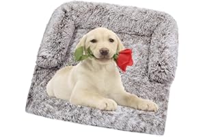 Vinnykud Tapis pour Chien en Peluche, Canapé Chien Grande Taille Coussin - Couverture pour Animaux de Compagnie avec Fermeture éclair, Idéal pour Panier Lit Chien, Niche, Voiture