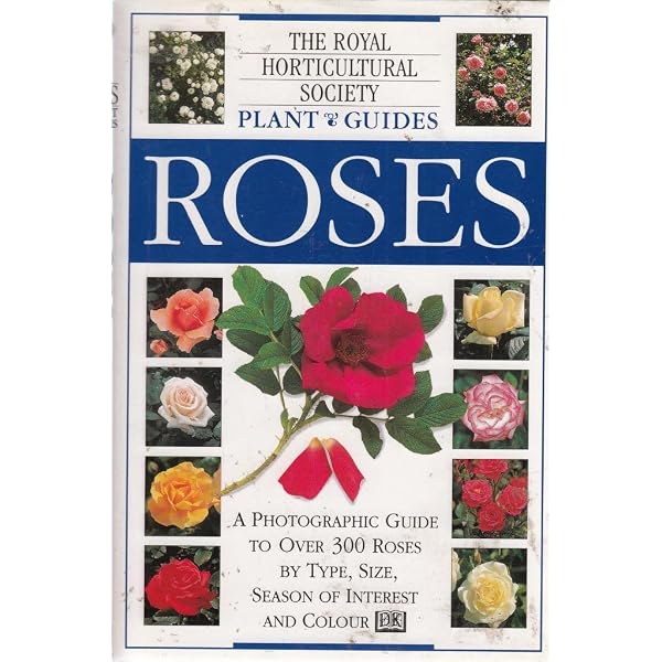 RHS Encyclopedia of Roses: Amazon.co.uk: Quest-Ritson, Brigid
