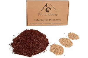 Pfotenolymp® Kit de replantation d'herbe à chat XXL - Graines et terre - Convient pour bac à herbe à chat en porcelaine et bambou - Kit de pot - DIY