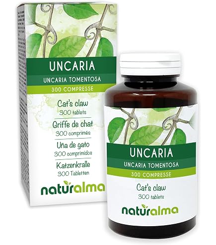 Poudre D'Hericium (Crinière De Lion) Bio - 120 Capsules Végétaliennes De 500mg - Marque Vita World
