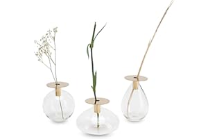 LUUK LIFESTYLE Set di decorazione di vasi in vetro, design a sfera, vaso in vetro piccolo, rotondo, vaso decorativo, filigrana