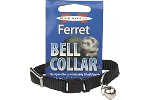 MARSHALL PET PRODUCTS Marshall Ferret Bell Collar, Black