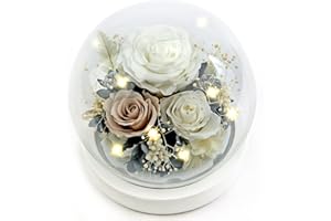 Kylin Glory Forever Flowers Real Eternal Roses Preserved Flowers Gift with LED Mood Lights for Valentine's Day Birthday Anniversary, Elegant Present for Girlfriend Wife Mom Women (Pearl White)