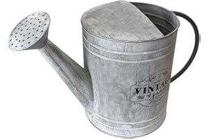 Koopman International B.V. REGADERA Zinc 41X18X25CM