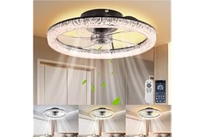 Tiazhan Ceiling Fan with Lighting, 50 W Fans, 6 Speeds/Timer, 3 Light Temperatures, App Control, Remote Control and Wall Switch, with Memory Function and Summer/Winter Mode