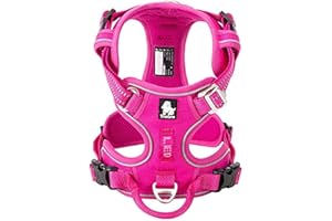 WINHYEPET True Love Harnais pour Chien No Pull Nylon Souple Réfléchissant Réglable pour Petit Grand Animal Facile à Mettre TLH56512