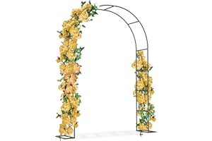 FIVMEN Arco per rose in metallo, 240 x 192 x 38 cm, resistente alle intemperie, per piante rampicanti e rose, colore: verde