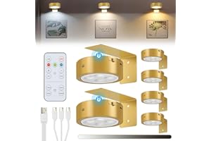LIGHTSJOY Foco LED Recargable USB, 6 Luces Para Cuadros Sin Cable Con Mando, Temporizador, Magnetismo, Lamparas LED a Pilas 3 Temperaturas de Color Brillo Ajustable con Temporizador para Imagen Armario (Dorado)