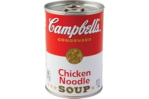 BigMouth Inc Campbells Chicken Noodle Soup Can Safe