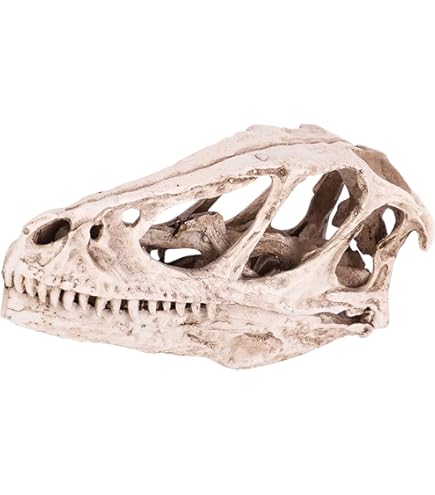 Tyrannosaurus Rex Skelet Dinosaurus Dierenverzamelaar Decor Model