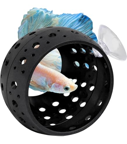 Grotte Flottante De Betta - France