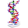 Molymod DNA Double Helix Model, 12 Segments, miniDNA Kit