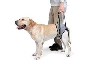 Dotoner Harnais de Levage pour Chien – Harnais de Soutien pour Pattes arrière – Écharpe de Soutien Souple pour Chiens de Petite, Moyenne et Grande Taille blessée (L, Gris)