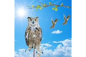 Lifreer Taubenabwehr Balkon, 4 Stück, Vogelschreck mit reflektierendem Klebeband, Vogelattrappe Taubenschreck, Vogelscheuche für Gärten, Gartenteiche, Terrassen, Pool