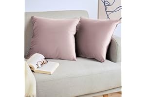 Blumtal Juego de 2 Fundas de Cojín de Terciopelo - Cojín Decorativo con Cremallera Oculta, Decoración para Hogar, Sofás, Camas, Violeta, 50 x 50 cm