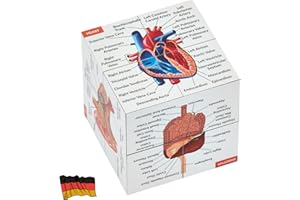 KITS OF MEDICINE Cube d'étude d'anatomie humaine en allemand | 9 parties du corps humain | Cubes modèle d'anatomie | Excellente idée cadeau pour les infirmières et les étudiants en médecine