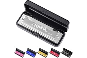 SUNBILIEN 10 hole harmonica, silver full scale metal mini C-key harmonica, suitable for adults, Thanksgiving and Christmas back to school gifts