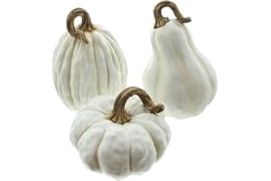 FRANK FLECHTWAREN Pumpkin White, Set of 3, Beautiful Autumn Decoration, Unusual, Modern