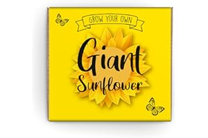 THE LOVELY STUFF COMPANY Grow Your Own Sunflower Kit Mamouth Edition - Complete Beginner Starter Kit | Easy Instructions | Made in UK | Perfect Gardening Gift for Any Occasion