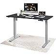 desko Height Adjustable Desk, Sit to Stand desk 120 x 60cm, Single Motor 2 stages Standing Desk with 5-year warranty, Work from Home Desk with 3-memory Smart Controller,(Grey Frame + Black Desktop)