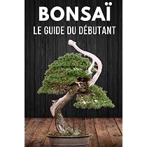 Kit Prêt à Pousser 10 Bonsaïs Cultivea – Graines, Pots, Outils, Notice – Culture Intérieure Facile – Made In France
